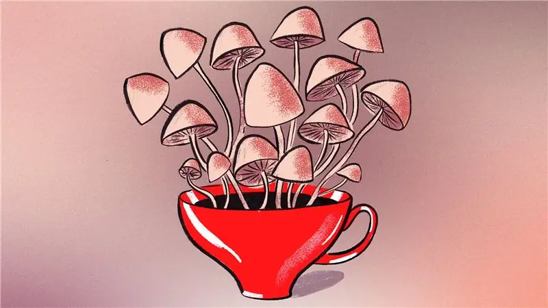 Полезен ли грибной кофе?