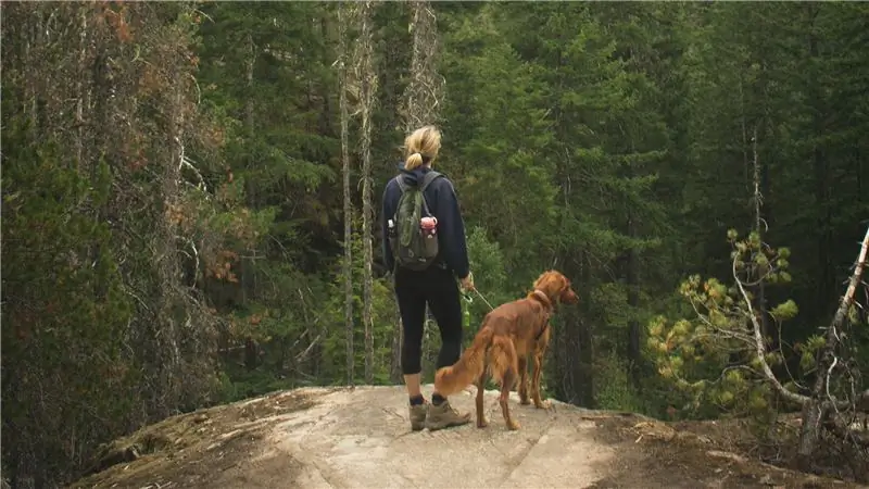 Все, что понравилось нашим редакторам в апреле