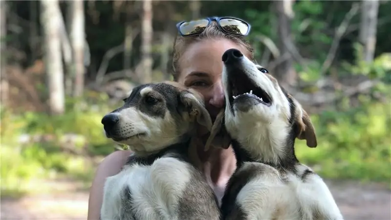 Болезнь Лайма изменила мое отношение к природе