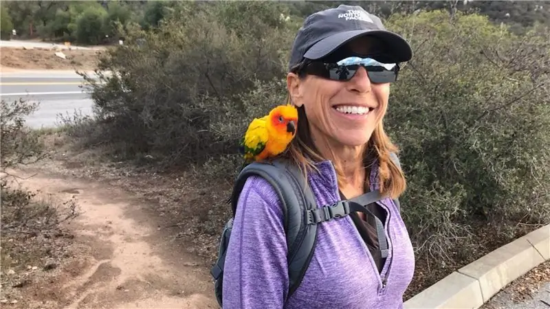 Женщина, пропавшая без вести в горах Калифорнии, была спасена