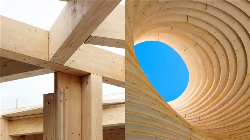 Пора относиться к некоторым лесам как к сельскохозяйственным культурам