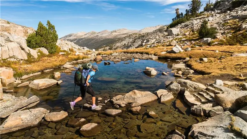 Новые правила помогут РСТ бороться с перенаселенностью