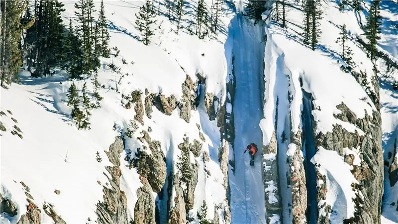 Где живут дикие твари