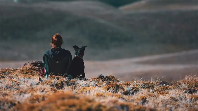 Все, что понравилось нашим редакторам в октябре