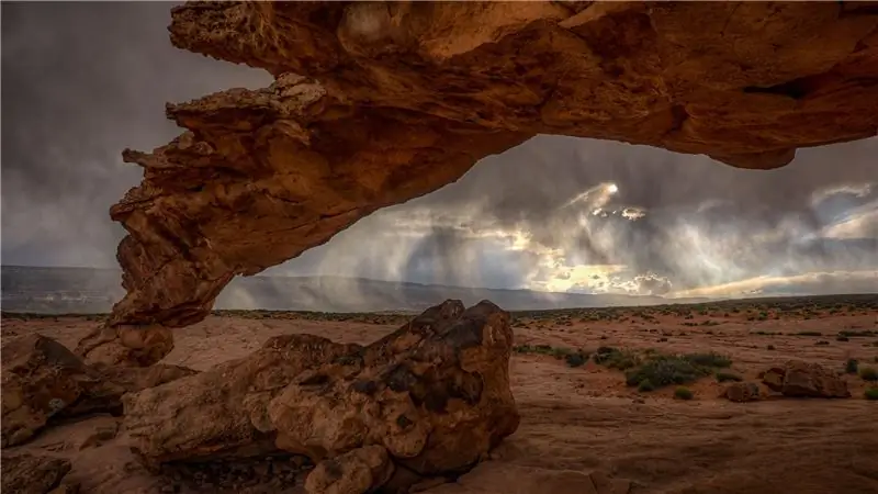 4 стадии климатического горя