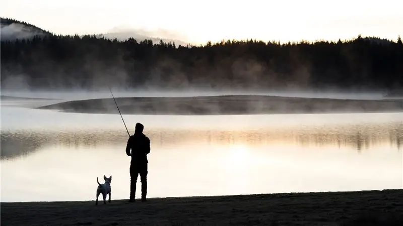 Что делать, если вы потеряете собаку