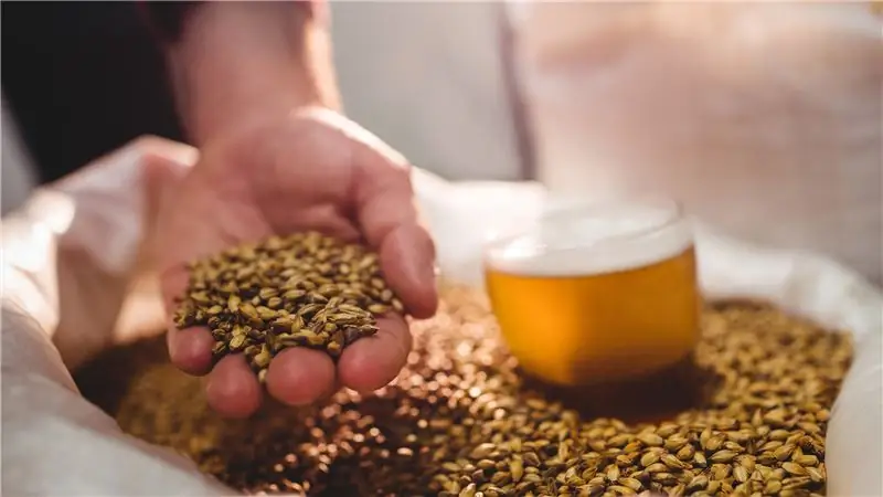 Токсичные водоросли губят наши озера. Решение: пиво