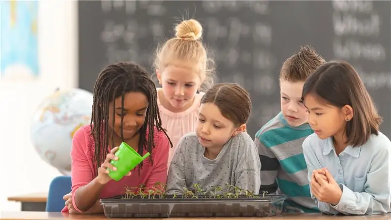 Американские дети не узнают об изменении климата