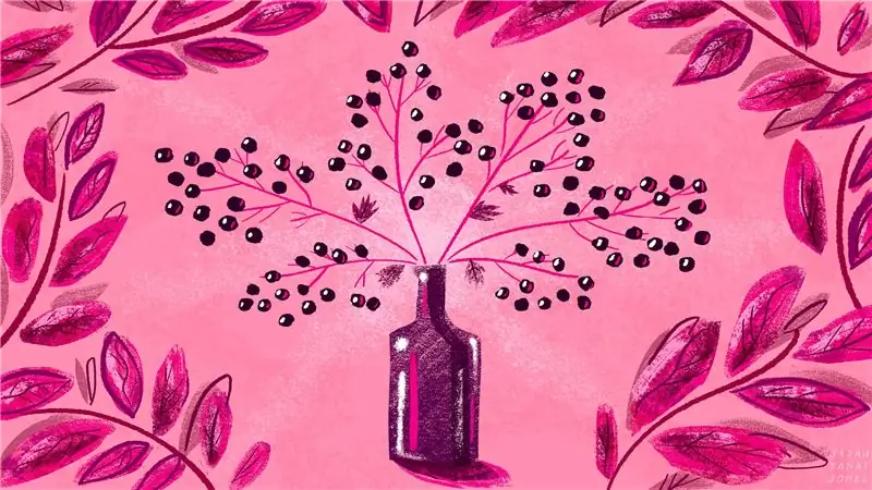 Почему у бузины есть культ как средство от простуды