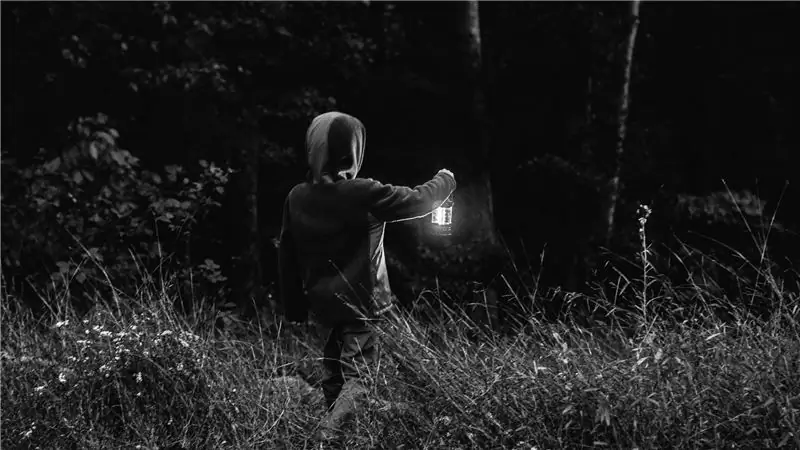 "Непроходящий" - это другая книга о дикой природе