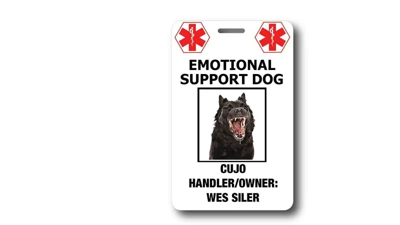 Мрачные последствия иск Delta от ESA повлияет на путешествия