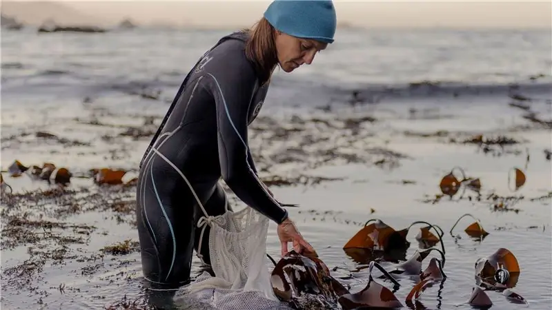 Вот как собирать корм на заднем дворе в городе