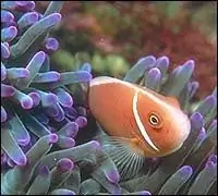 Глубокий синий юг