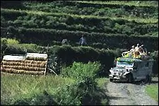 Поездка на джипни в районе Тинглаян