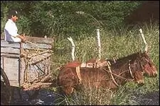 Трафик - это убийство: маршируем через гущу Новильеро