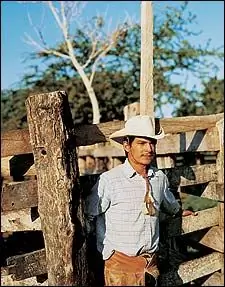 Страна ягуаров: ранчо в Эль-Параисо