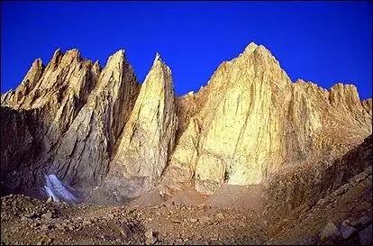 Сумка ЧЕТЫРНАДЦА