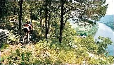 100-Proof Американа