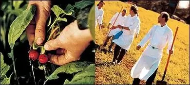 Шеф-повар Дэн Барбер