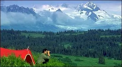 Будущее выглядит диким