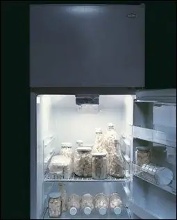 Поднимая трость