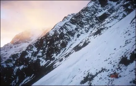 В поле с Марком Дженкинсом