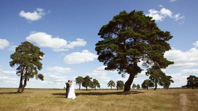 Как спланировать экологичную свадьбу?