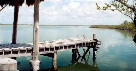 В поле с Жоау Канзиани