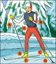 Катание на коньках на лыжах