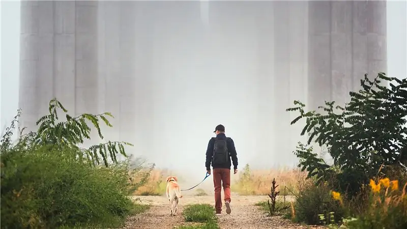 Обретение мира во время пандемии