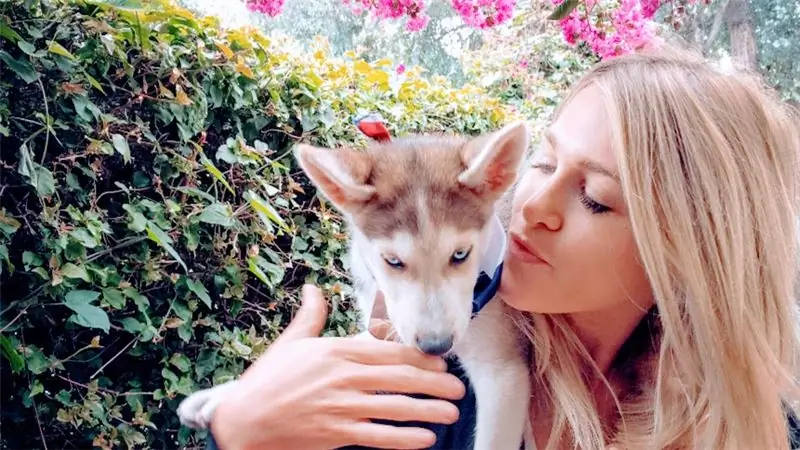 Сейчас лучшее время для усыновления собаки