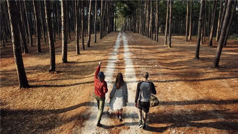 Хотите продолжить приключения? Получите высшее образование