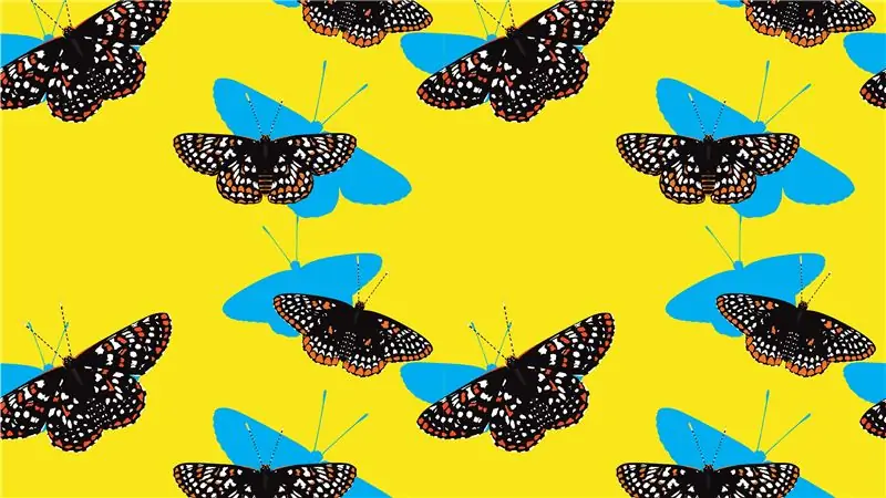 Научный писатель приводит доводы в пользу миграции