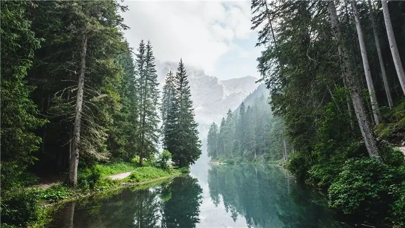 Ваши деньги могут работать против окружающей среды