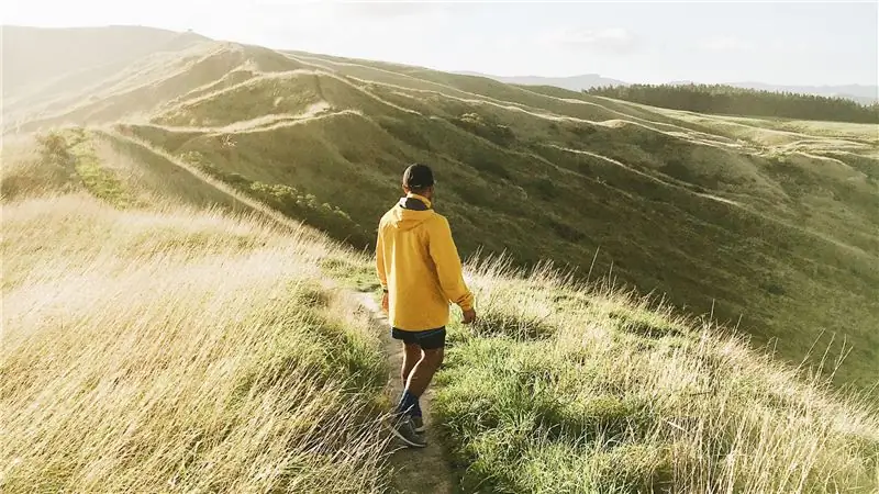 Как смена банка может помочь спасти окружающую среду