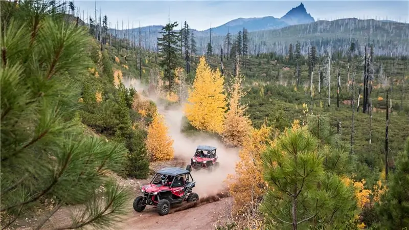 На любой график найдется приключение для всей семьи