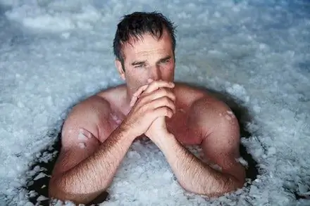 Ледяной медведь идет