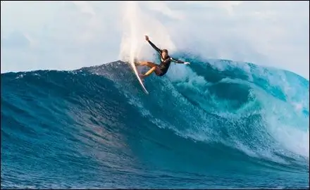 Серфер Стефани Гилмор