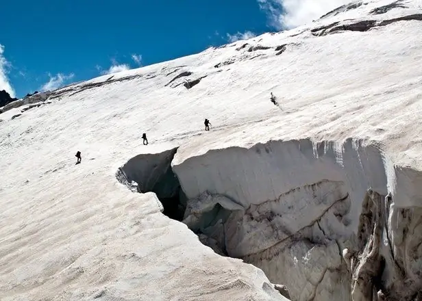 Mt. Rainier