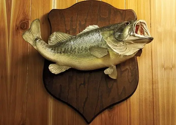 Большая рыба, маленькие пруды