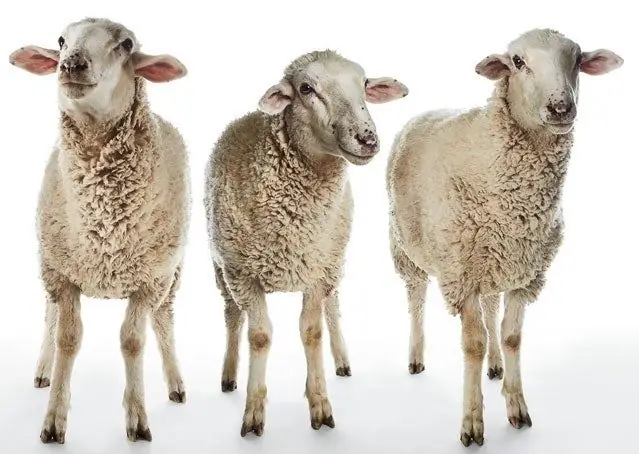 С широко закрытыми глазами