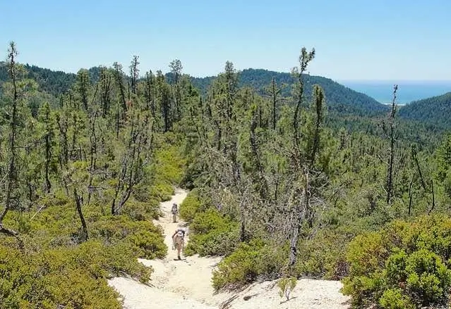 Какие государственные парки самые лучшие?