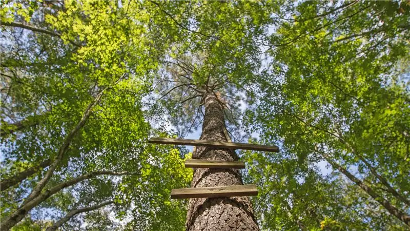 Они больше не только для обезьян