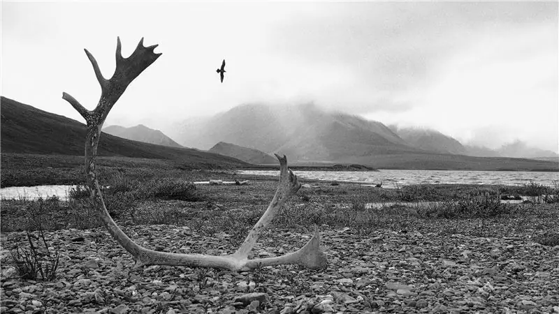 Скользкий северный склон