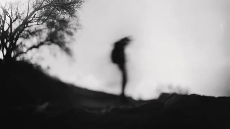 Вещи, которые трясутся в дикой природе