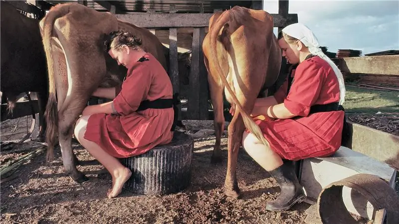Взгляд на убийство: пока не забивайте себе еду