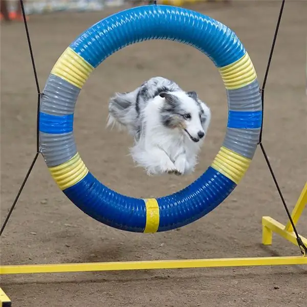 овчарка