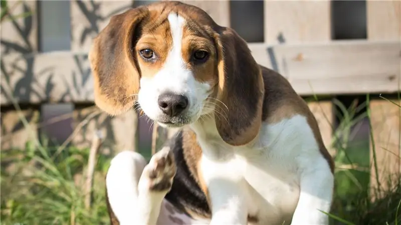 Почему у меня чешется от упражнений?