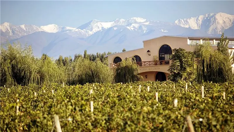 Как лучше всего проехать на велосипеде по винному региону Аргентины?