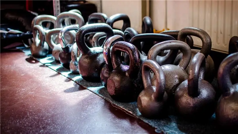 Что мы узнали из рыбьих кишок